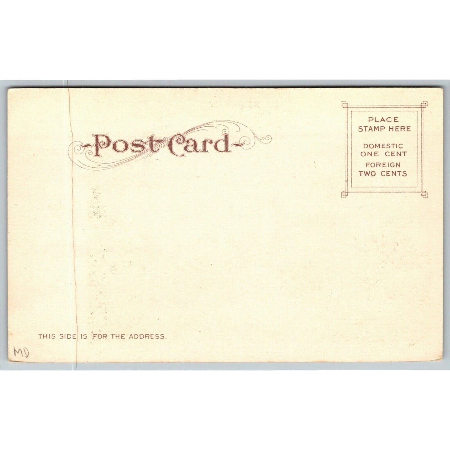 Vintage c1901-07 Postcard "Pampas Grass, Fresno, California." Unposted