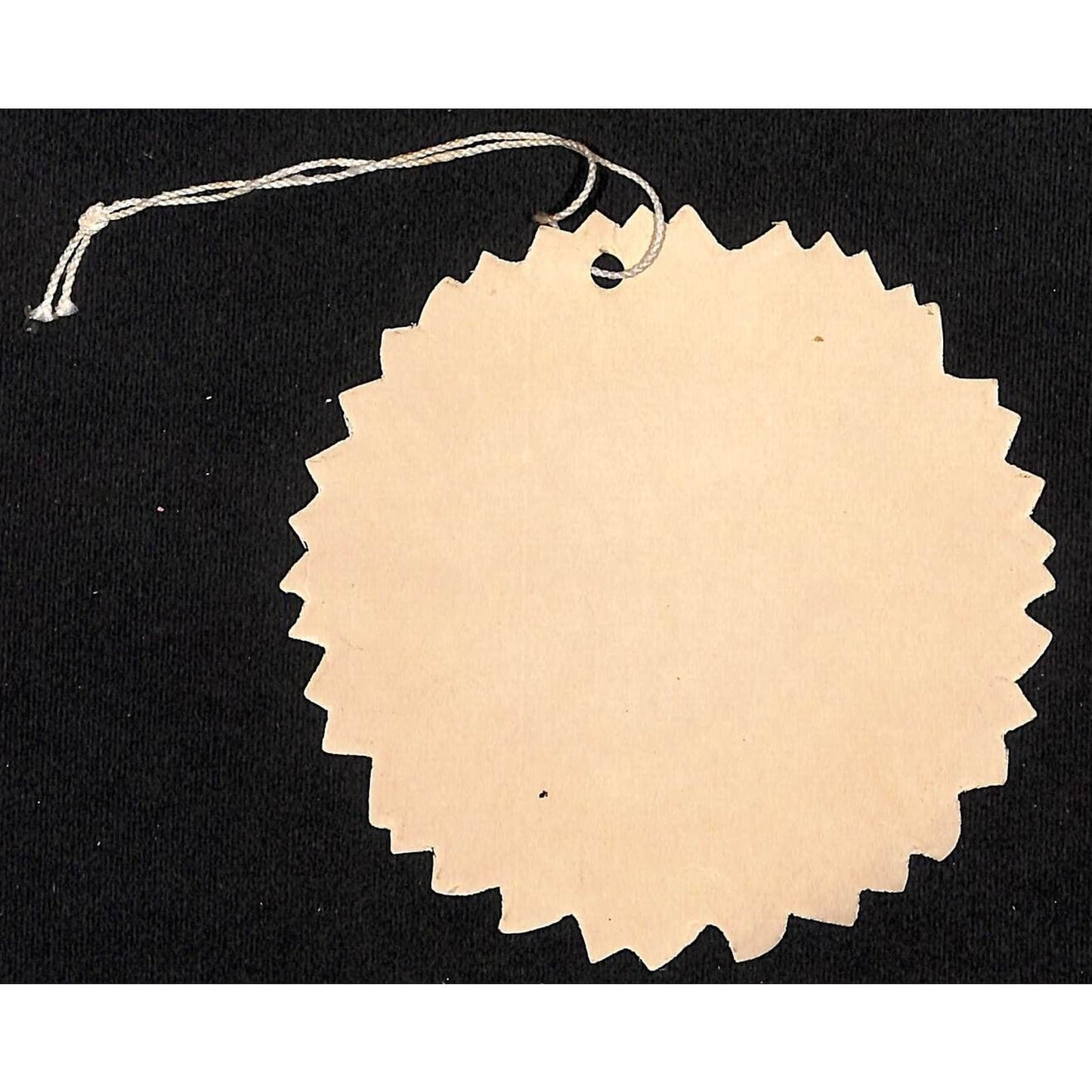 1948 Chicago Railroad Fair "Kansas Day" Die Cut Sunflower Hanger Card VGC