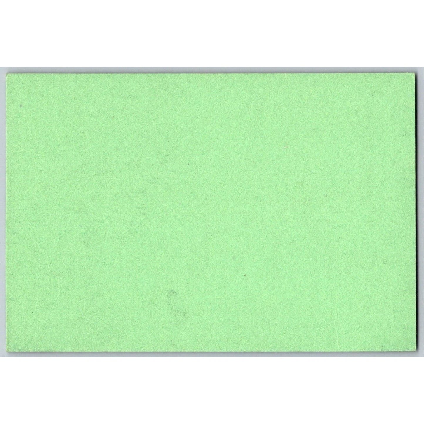 Ink Blotter c1950's-60's Blank - No Company Name or Text Forest Flowers Trees