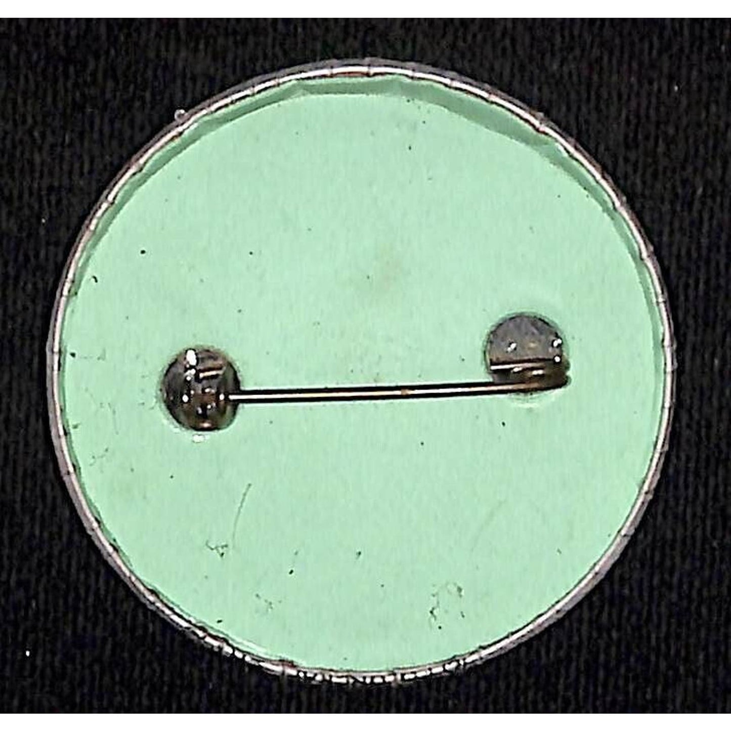 Muskie Political Flower in Pot Pinback Button 1972 Edmund Muskie Campaign Scarce