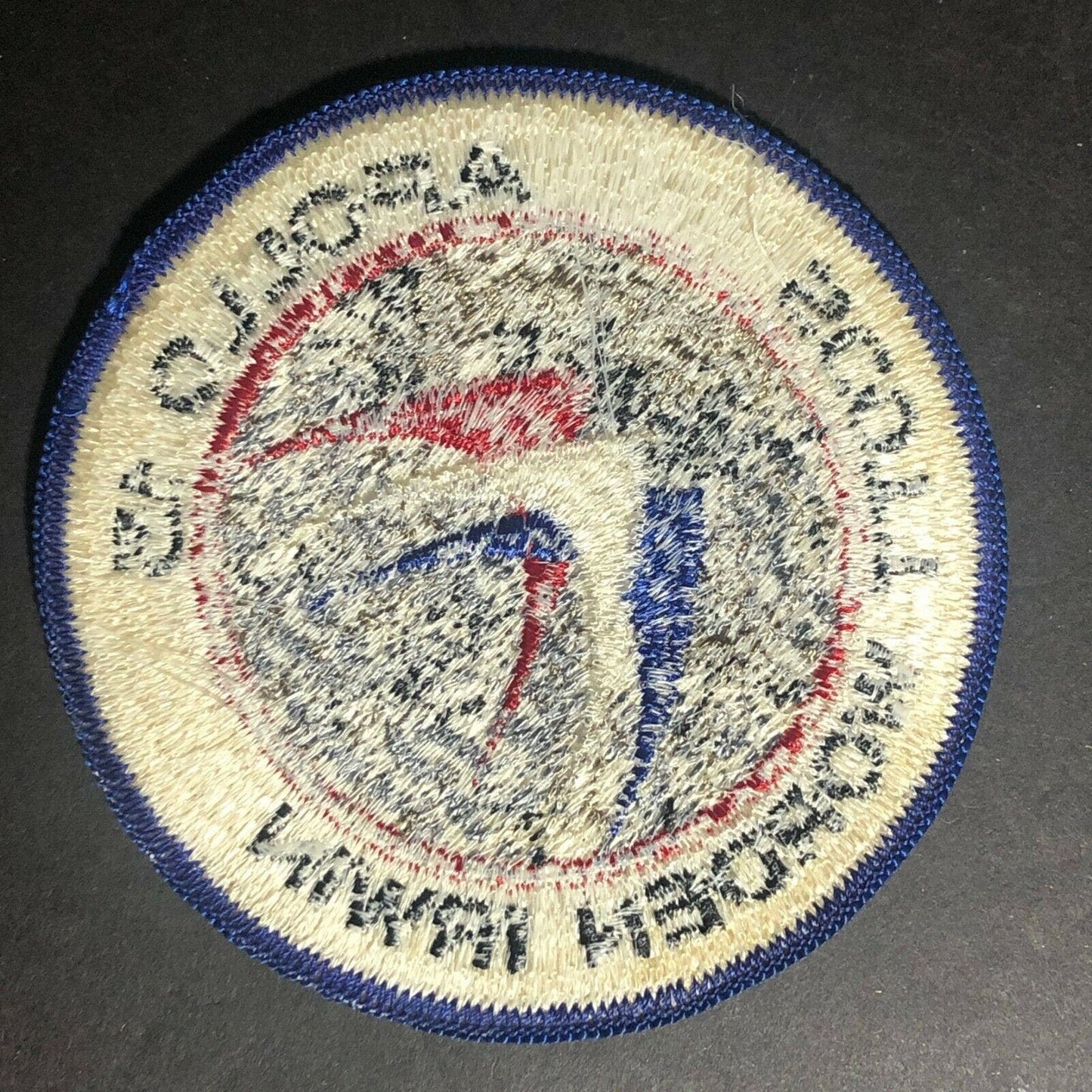 Vintage NASA Apollo XV 15 - Scott Worden Irwin Embroidered Patch