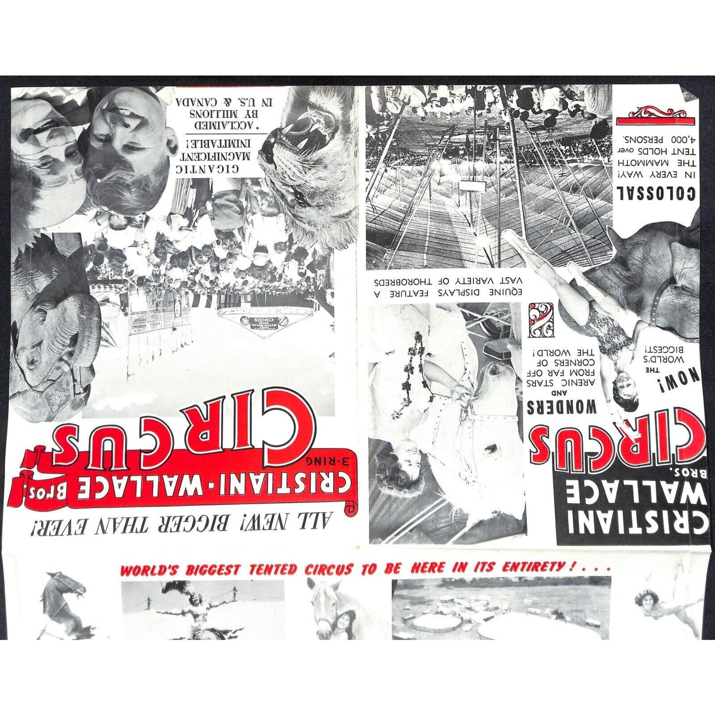 Cristiani Wallace Bros. Circus Fold Out Single Sheet Brochure c1963-65 Scarce