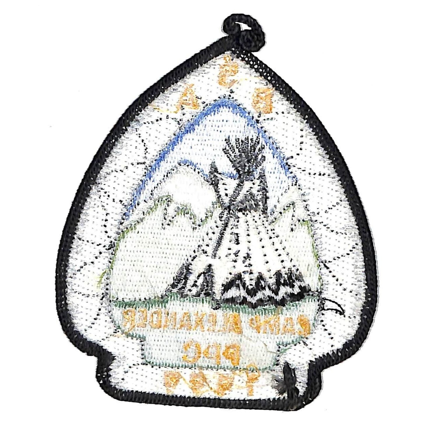 BSA Camp Alexander PPC 1999 Vintage Patch NOS Arrowhead Shape Scarce