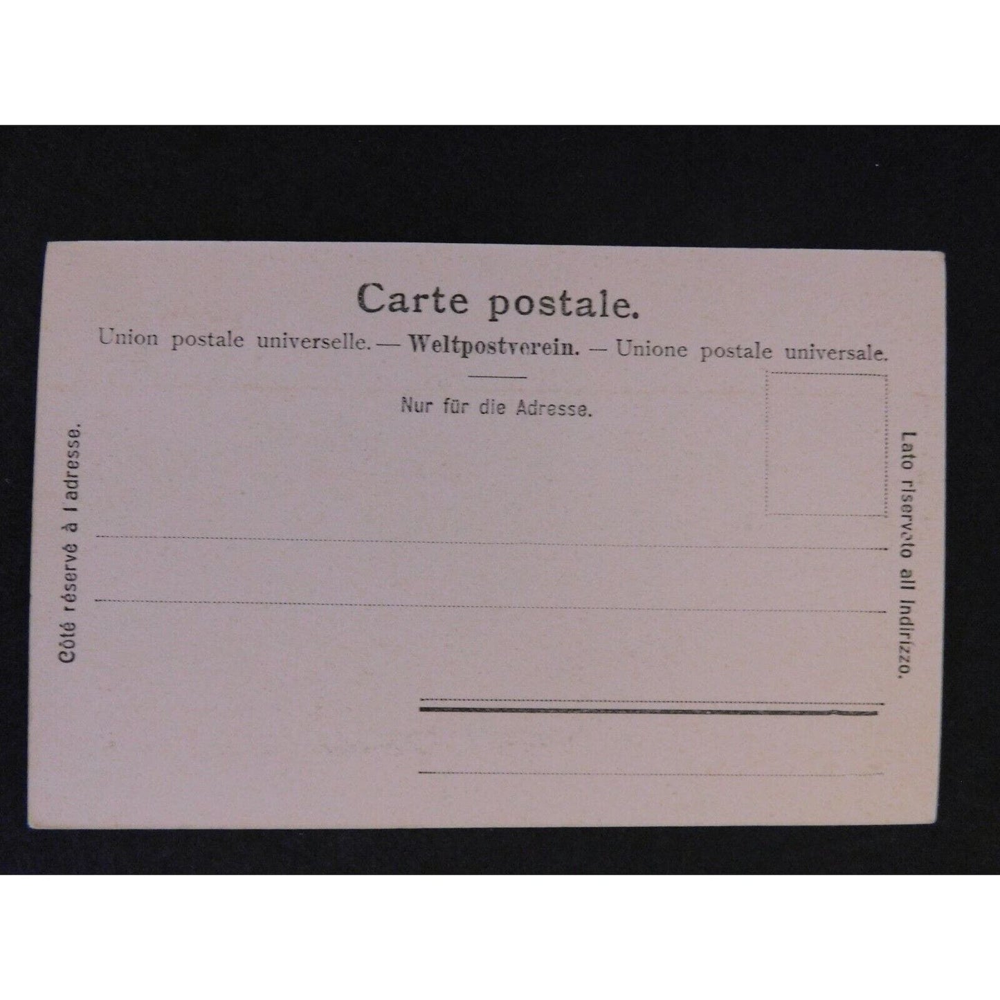 Vintage Postcard - Geneve - Les Mouette (Switzerland)
