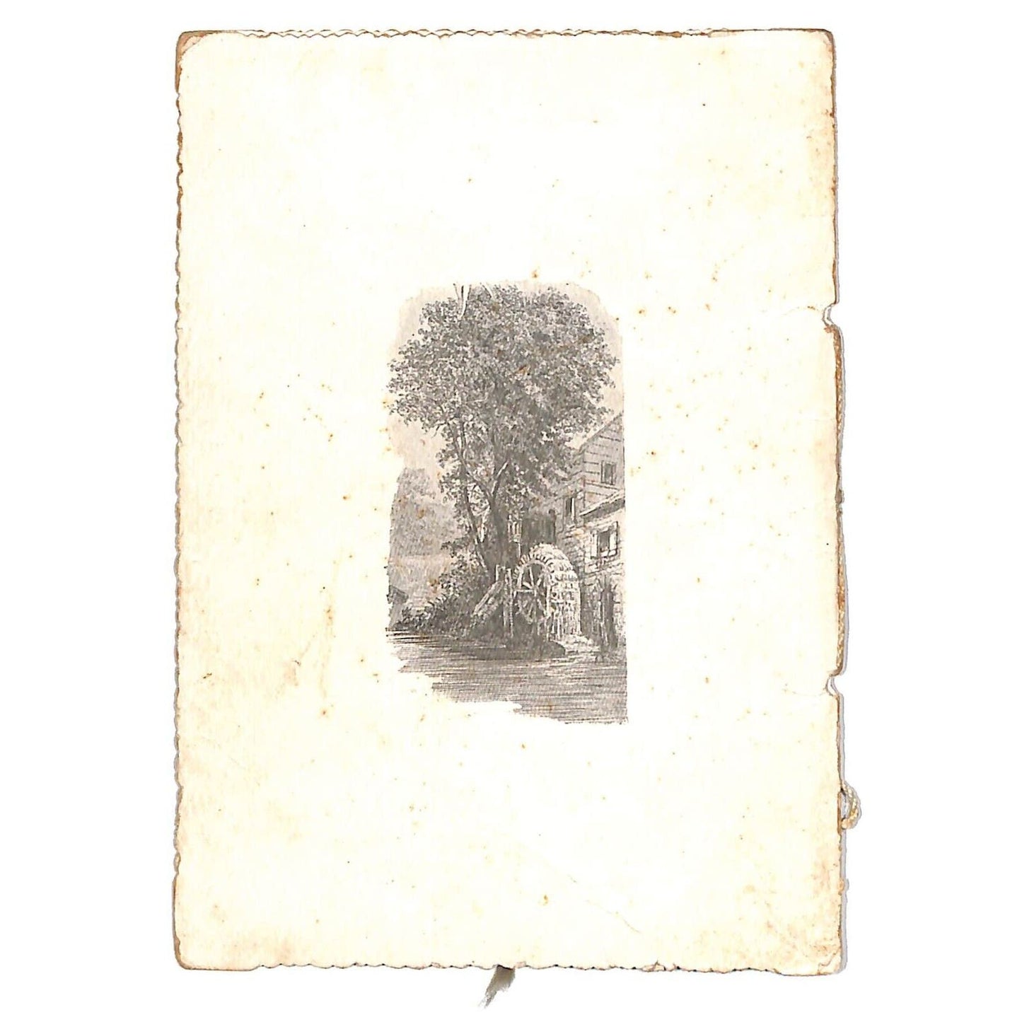 Ashby Dist. Rockingham Co. Montezuma Grade School 1904 Souvenir Card Flag