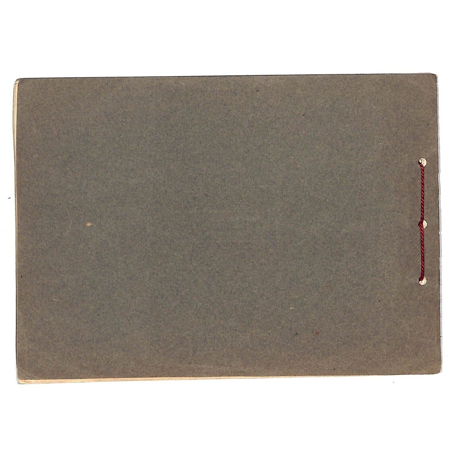 Album of Norfolk, VA and Historical Vicinity Pictorial Souvenir SC Book c1900-10