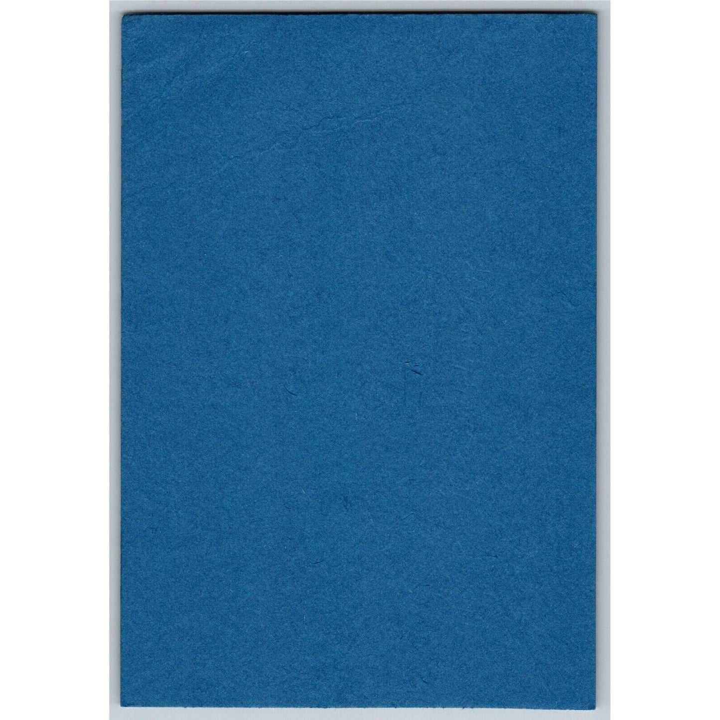 Hermitage Nashville, TN Noel Leaver Ink Blotter c1950's-60's