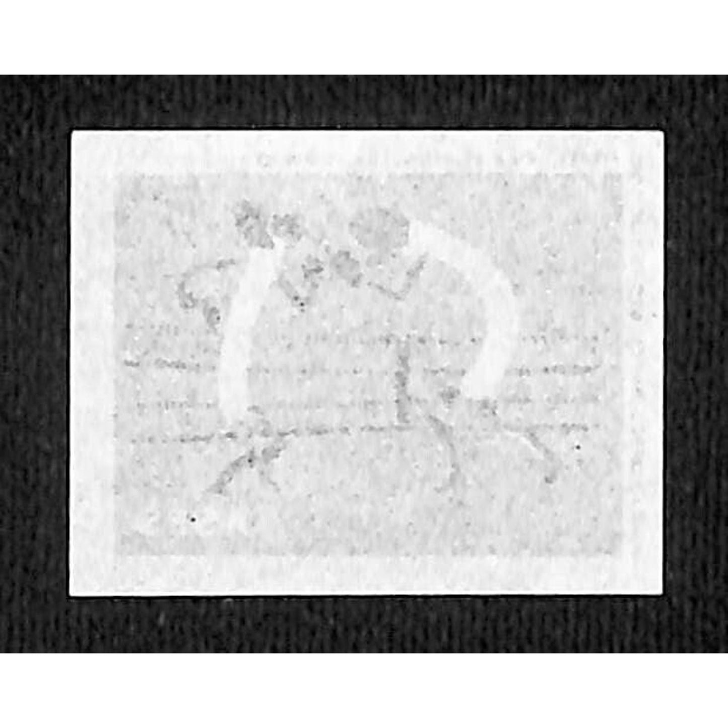 Vintage Matchbox Label Portuguese Match Sticks Boxing c1960