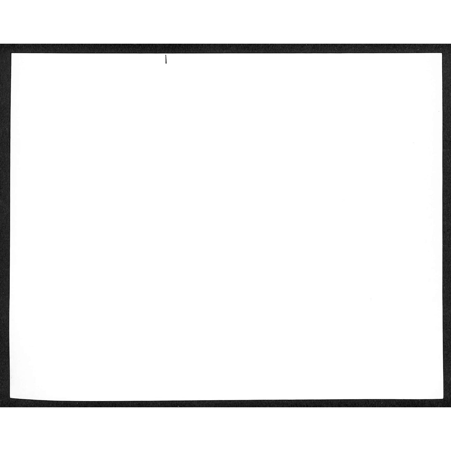 1977 Dondi Elephant & The Apollos Phil & Francine Schacht Circus 8" x 10" Photo