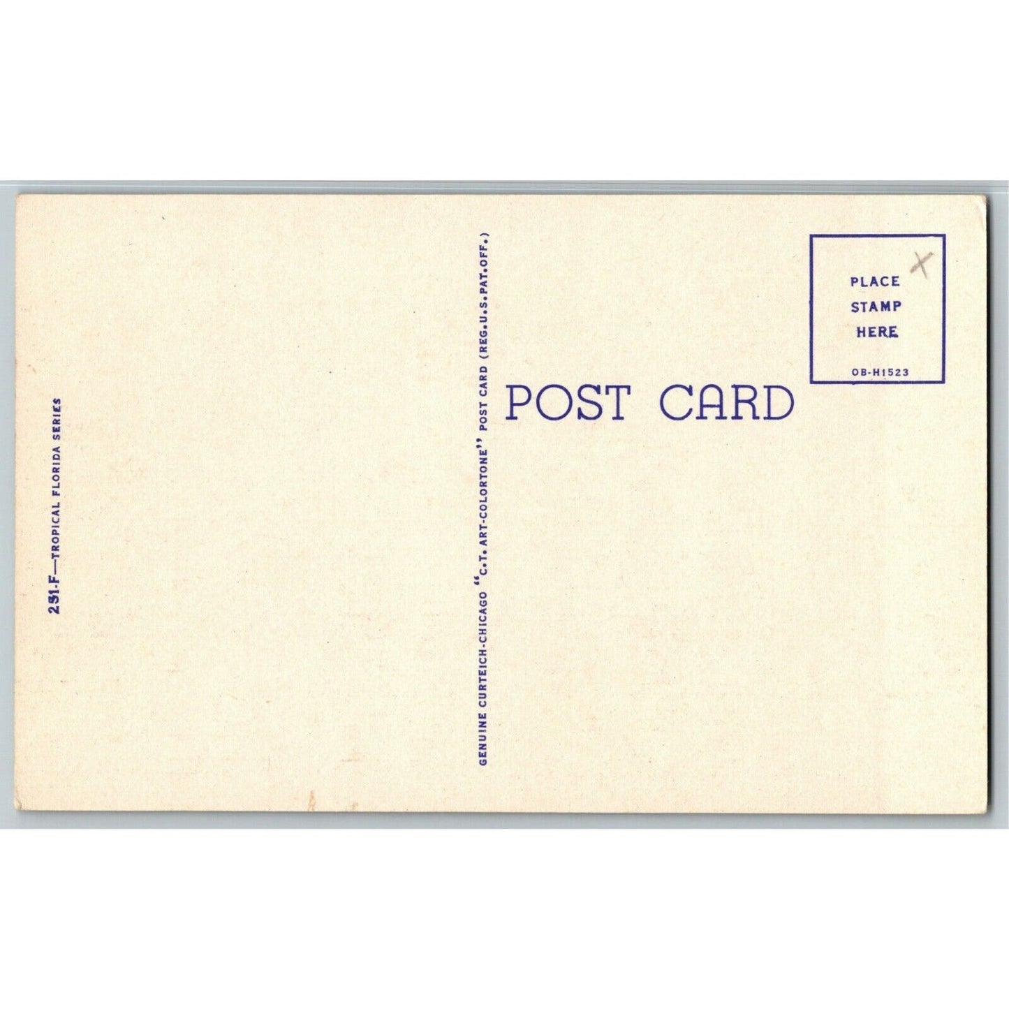 c1940's Vintage Linen Fruit Postcard Florida "A Large Grapefruit Grove" -- VGC