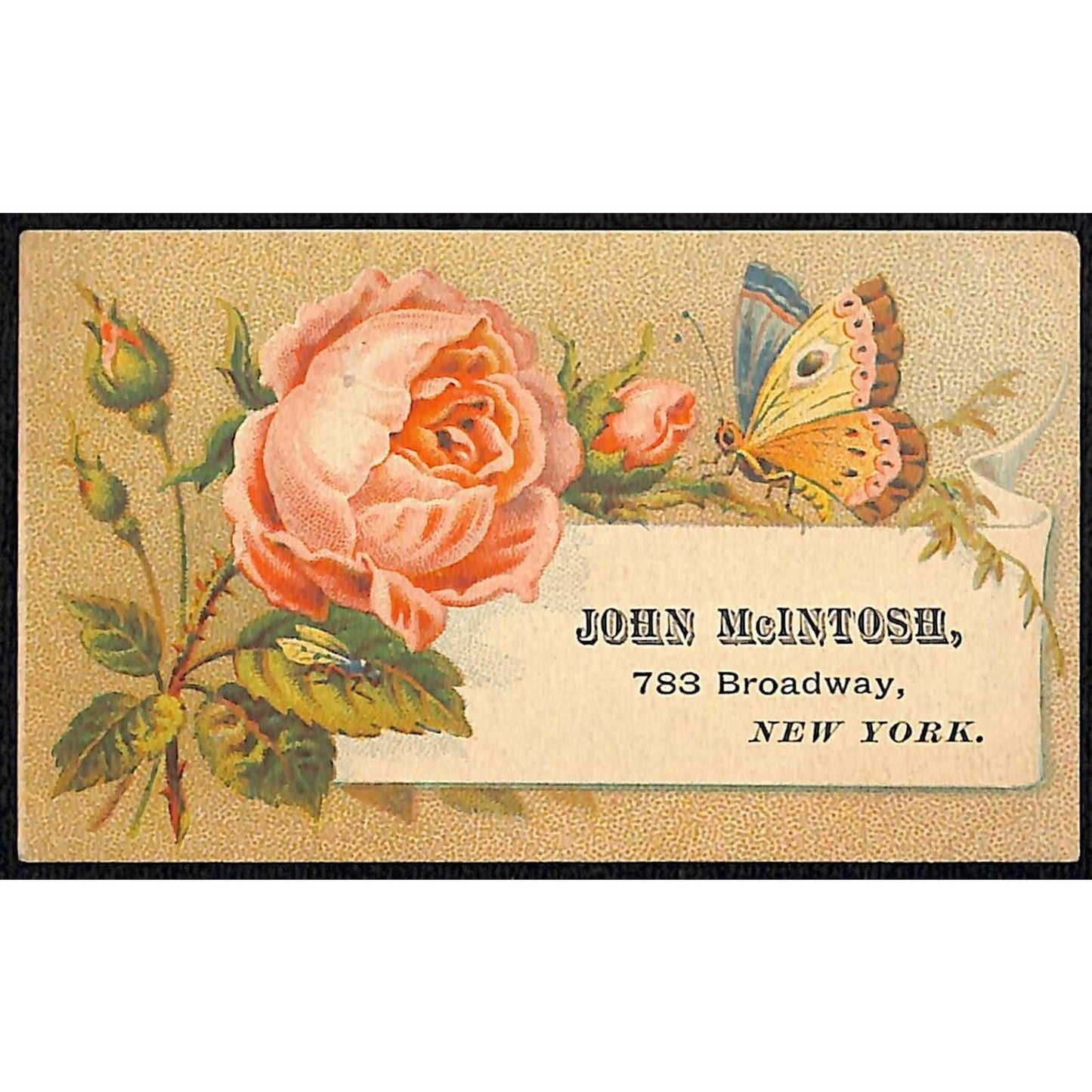 John McIntosh Laces Embroideries Broadway NYC Victorian Trade Card Floral