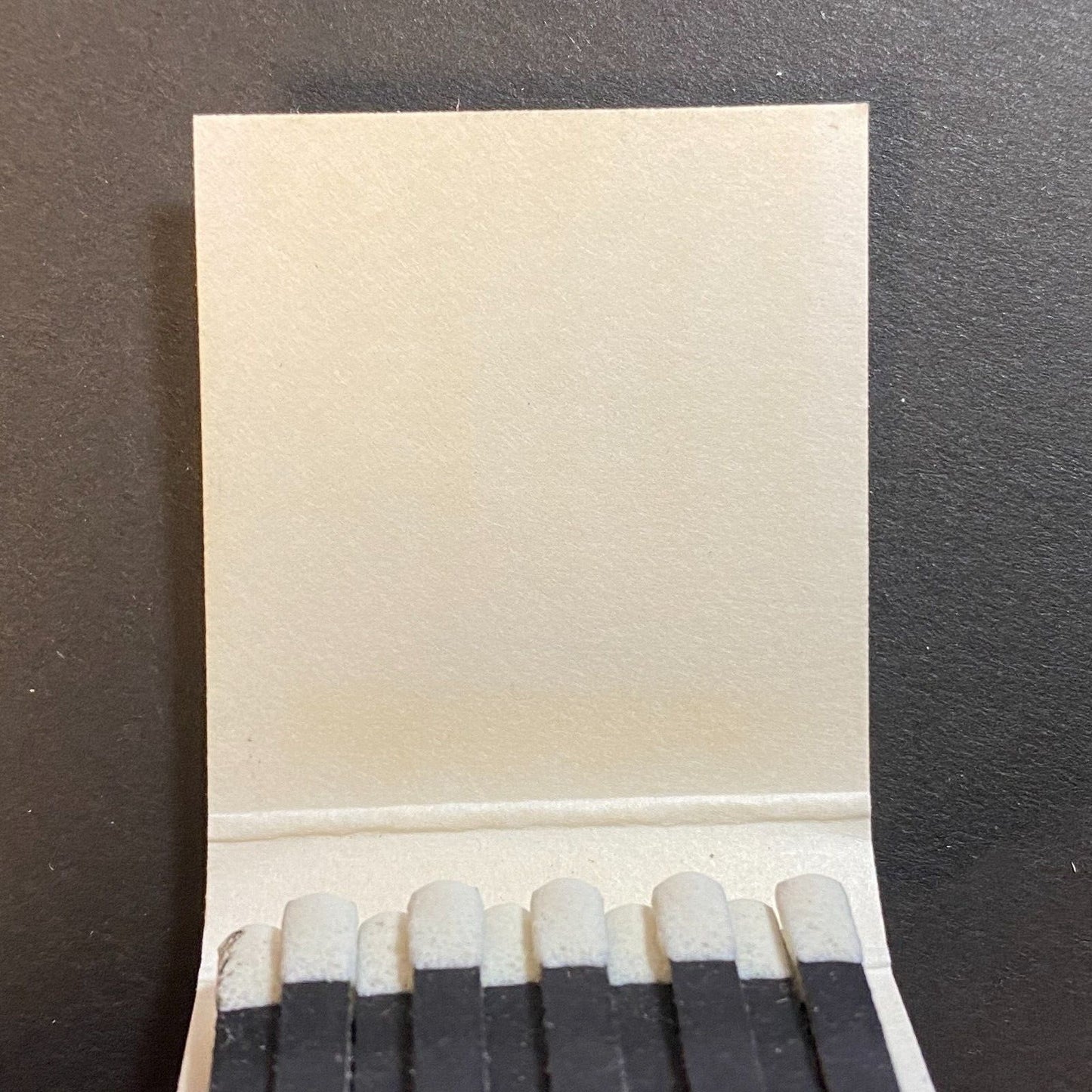 Meridian Plaza Myrtle Beach, SC Full Matchbook c1975-80 Scarce