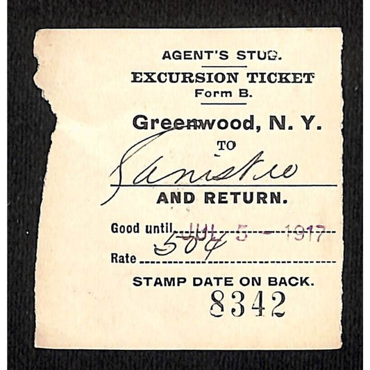 New York & Pennsylvania Ry 1917 Greenwood, NY Excursion Ticket Stub #8342