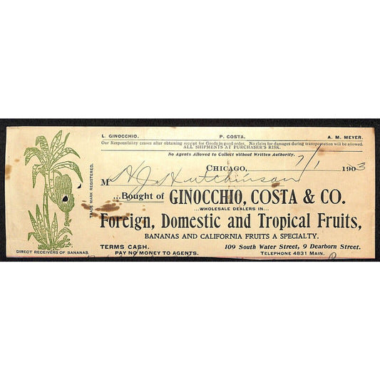 Ginocchio, Costa & Co. Bananas HJ Hutchinson Decorah IA* Cut 1903 Billhead