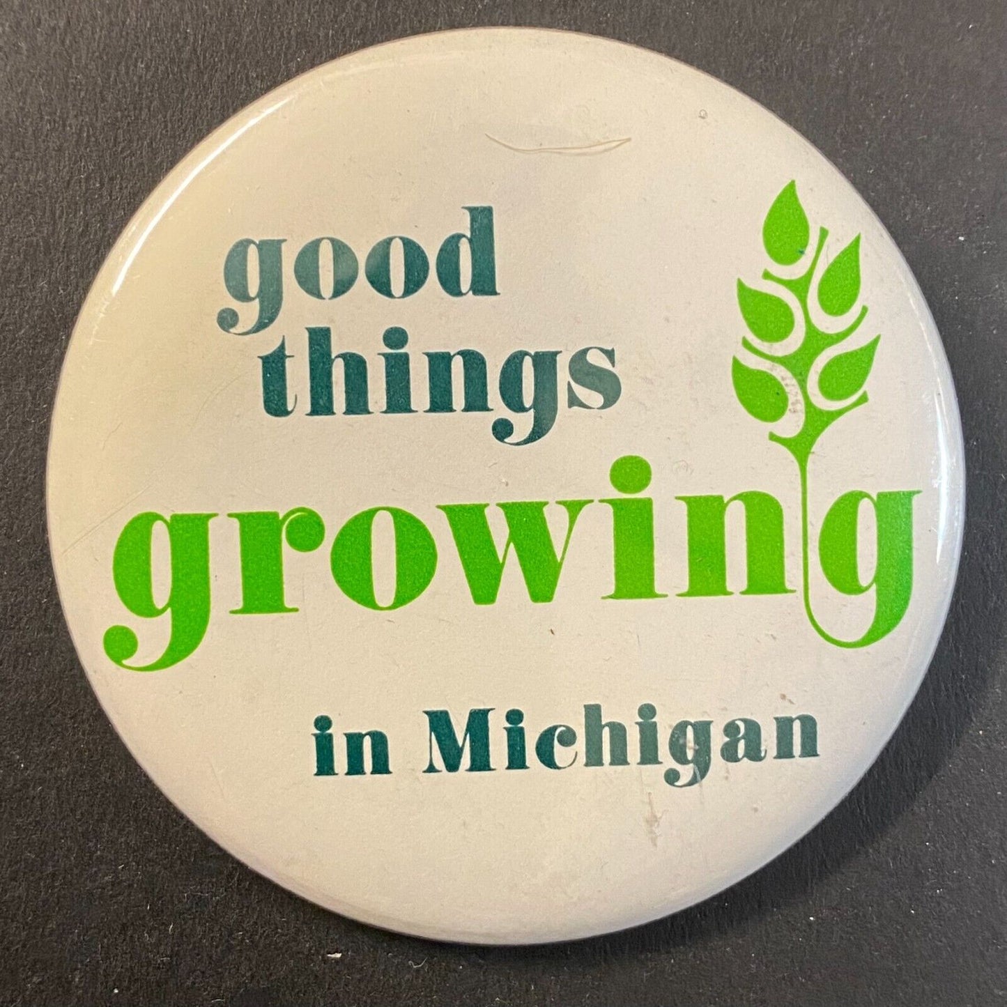 "Good Things Growing in Michigan" c1980s Steel Pinback 2"