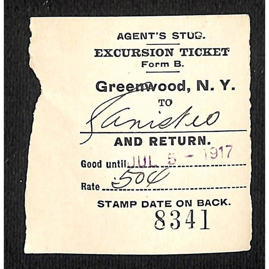 New York & Pennsylvania Ry 1917 Greenwood, NY Excursion Ticket Stub #8341
