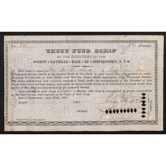 First National Bank Cooperstown, NY Trust Fund Script 1881 Stock Certificate