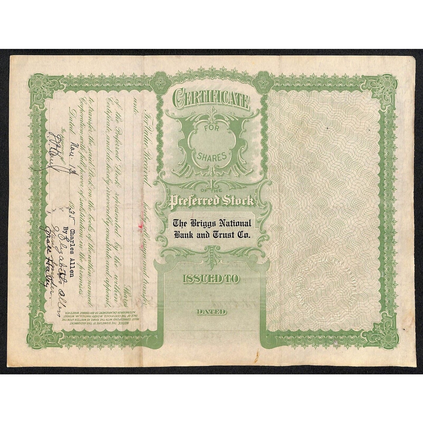 Briggs National Bank and Trust Clyde, NY 1933 Stock Certificate to Charles Allen