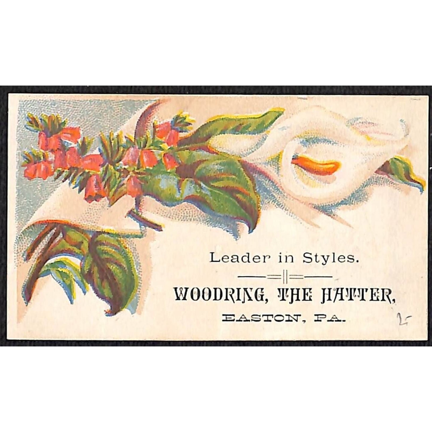 "Woodring, The Hatter" Easton, PA Victorian Trade Card Floral VGC
