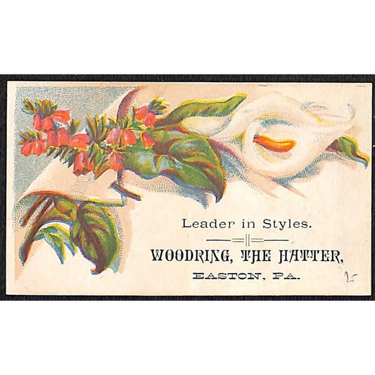 "Woodring, The Hatter" Easton, PA Victorian Trade Card Floral VGC