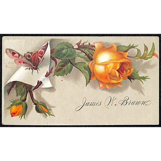 "James W. Brawn" Victorian Calling Greeting Card - Floral w/ Butterfly