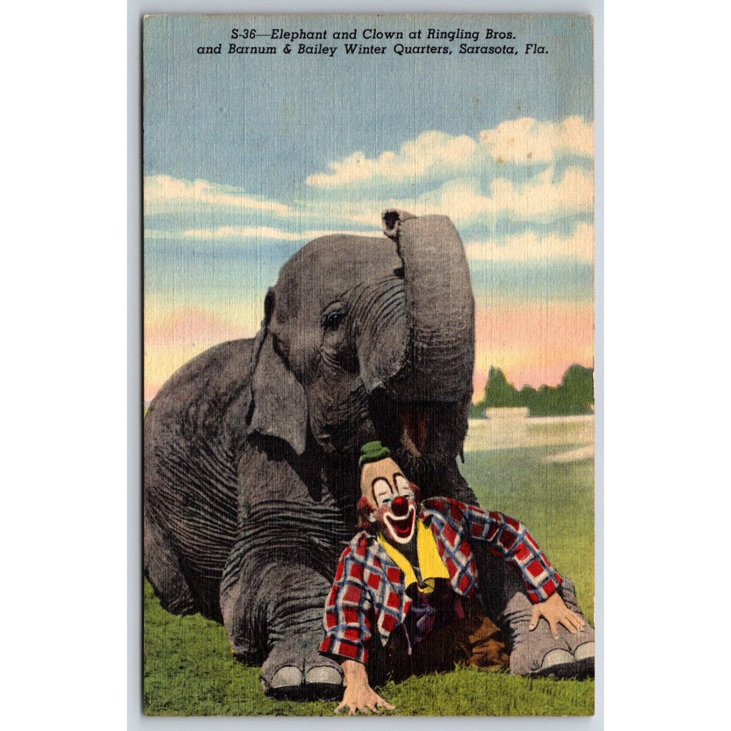 Elephant and Clown Ringling Bros Circus Sarasota Postcard PM 1949 VGC