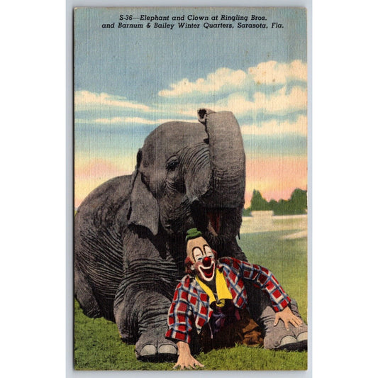 Elephant and Clown Ringling Bros Circus Sarasota Postcard PM 1949 VGC