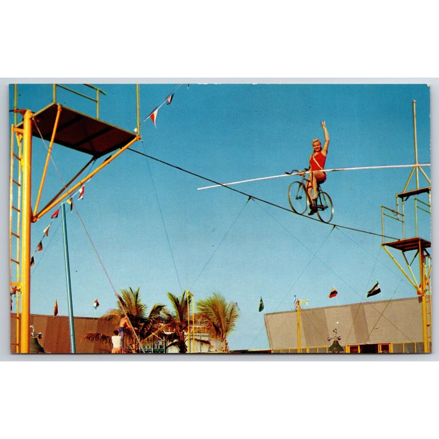 Bicycle Ride on the High Wire Hall of Fame Sarasota Postcard NP VGC c1960s