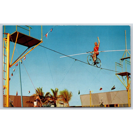 Bicycle Ride on the High Wire Hall of Fame Sarasota Postcard NP VGC c1960s