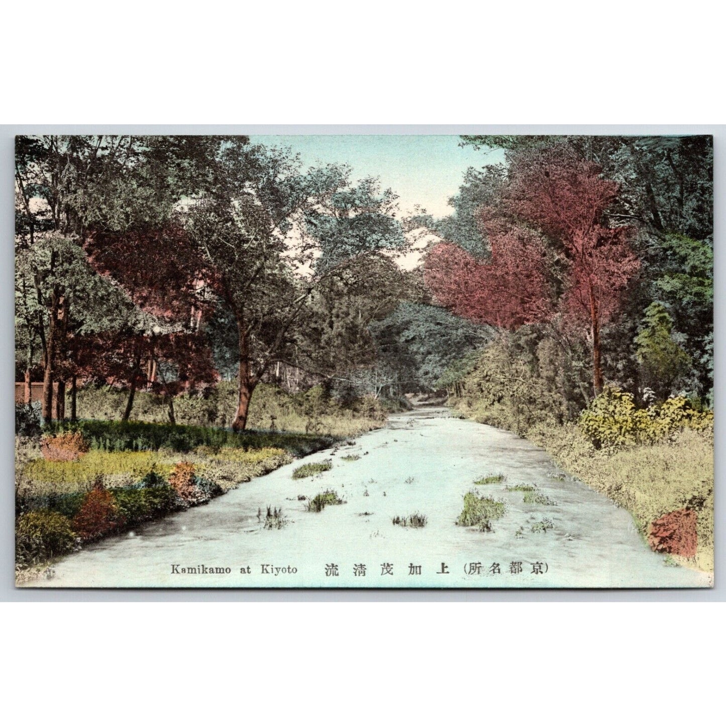 Kamikamo at Kyoto Japanese Postcard Tinted RPPC* c1910-20's VGC