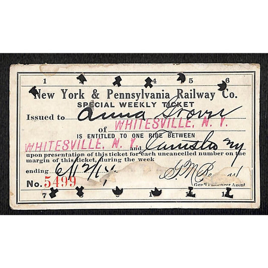 New York & Pennsylvania Ry 1914 Special Weekly Ticket Scarce #5499