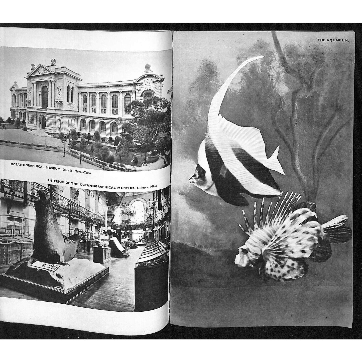 c1930's "Principauté de Monaco" Travel Brochure 32pp + Fold-Out Centerfold Pages