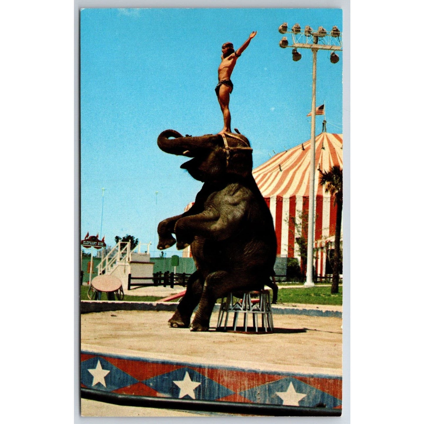 Ringling Bros. Barnum Bailey Circus Ana-Mae Elephant Postcard NP c1973