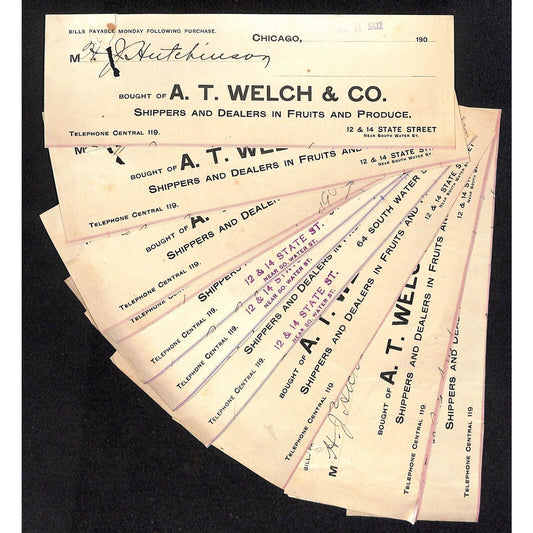 A.T. Welch & Co Produce Fruit Hutchinson Decorah IA* 11 pcs. Cut 1902 Billheads