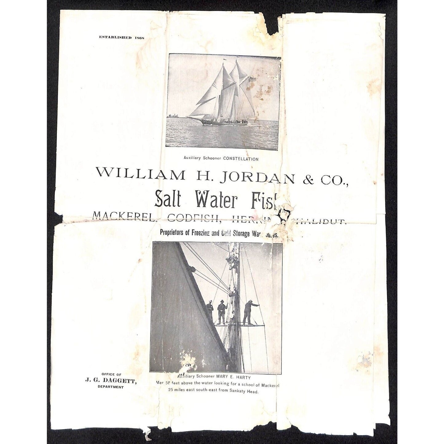 William H. Jordan & Co. 1905 Salt Water Fish Price List Sheet - Very Damaged