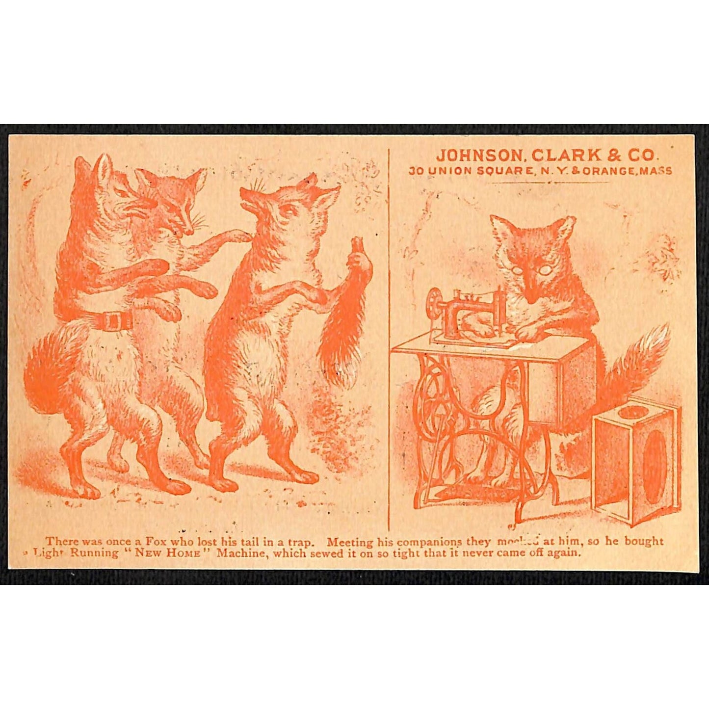 Johnson, Clark & Co. New Home Sewing Kemp Bros. Victorian Trade Card Fox Sewing