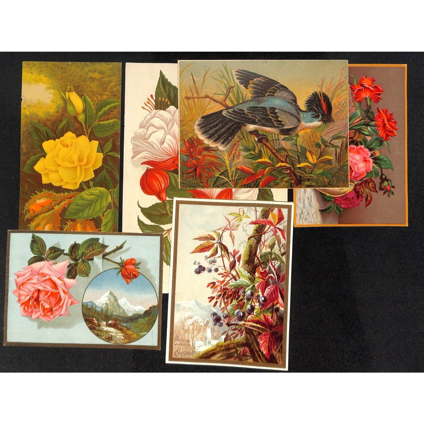 Group of 33 Mostly Floral Themed Victorian Greeting / Holiday Cards