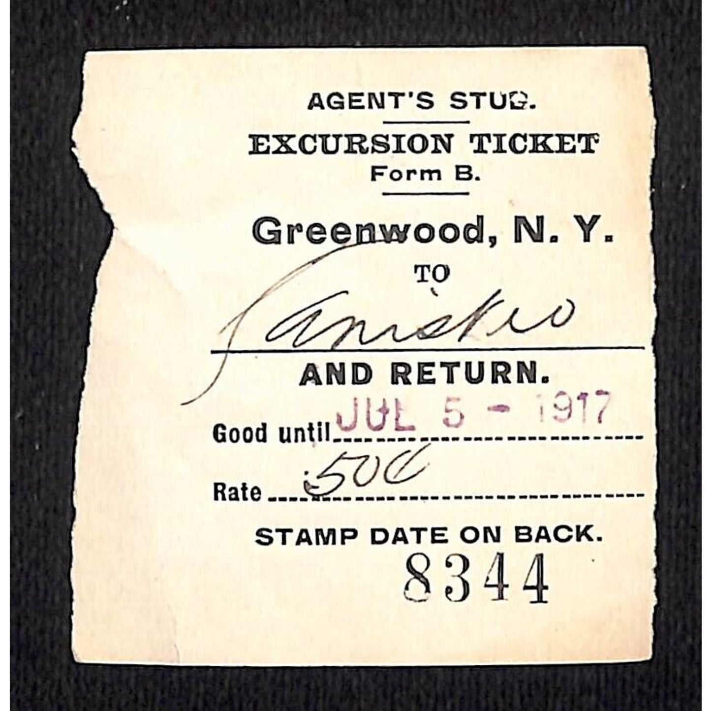New York & Pennsylvania Ry 1917 Greenwood, NY Excursion Ticket Stub #8344