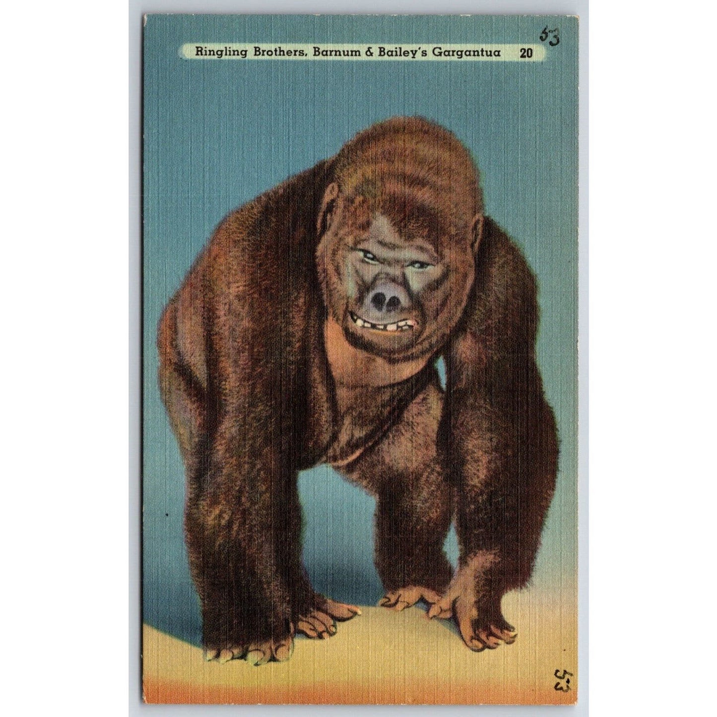 Gargantua Gorilla Ringling Bros. Barnum Circus Postcard NP VGC c1935-50