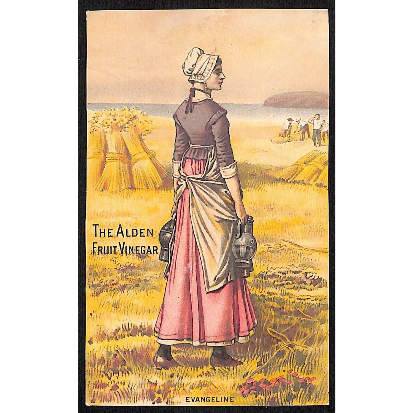 J.H. Van Riper Paterson, NJ The Alden Fruit Vinegar Victorian Trade Card