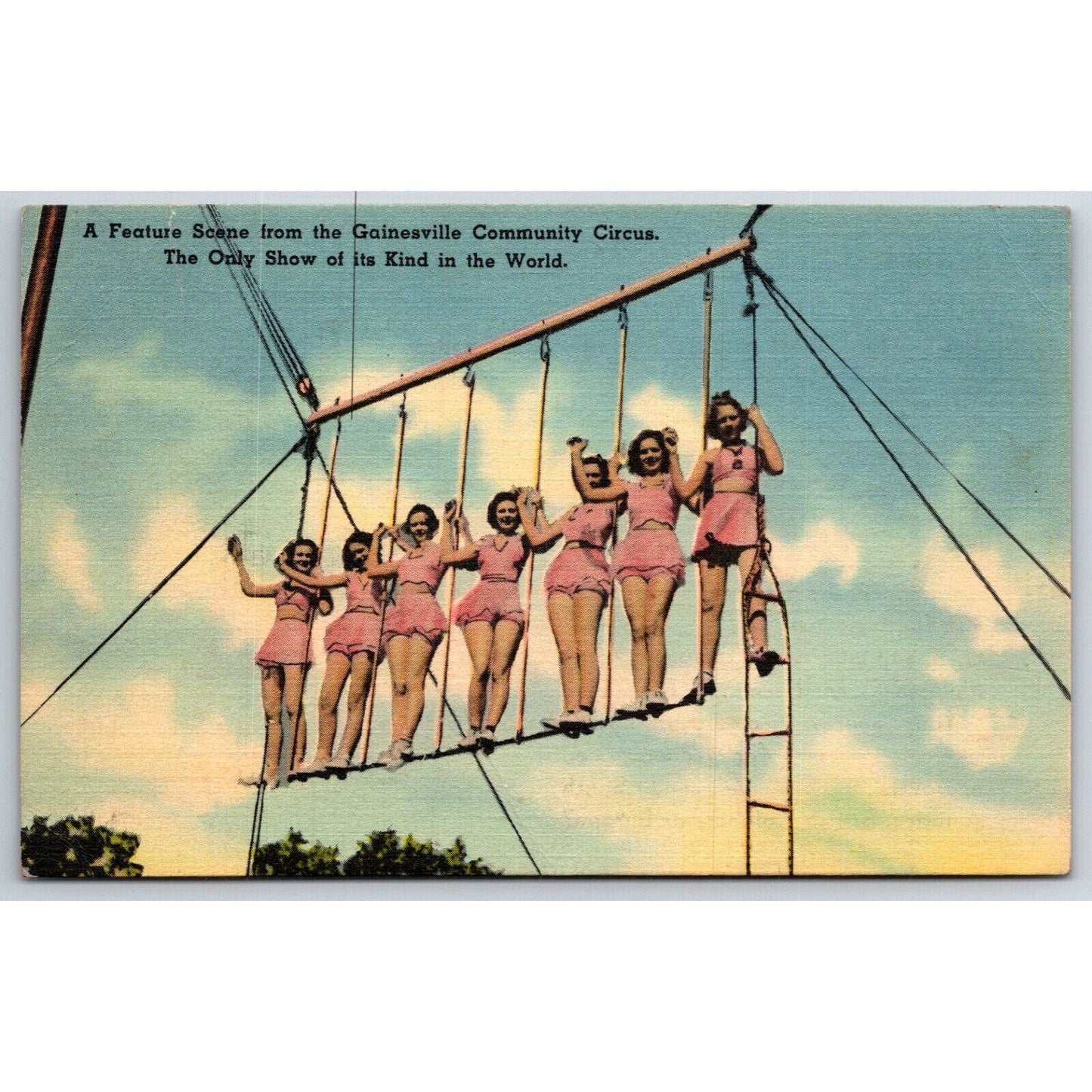 Lone Star Stamp Co. Gainesville Circus Women Linen Postcard NP c1940's-50 Scarce