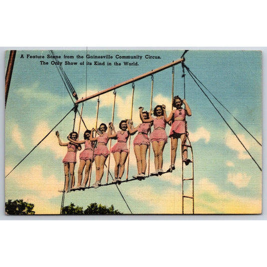 Lone Star Stamp Co. Gainesville Circus Women Linen Postcard NP c1940's-50 Scarce