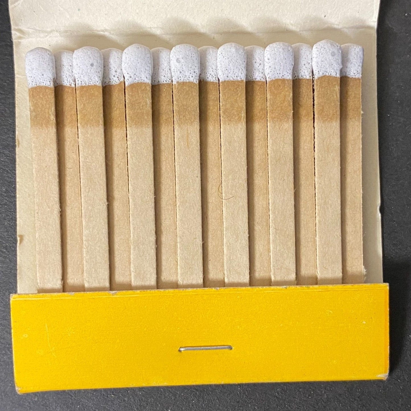 Dunham Woods Riding Club Wayne, IL Full Matchbook c1974-80's VGC Scarce
