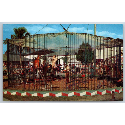 Big Outdoor Cage Barnum & Bailey Circus Sarasota Postcard NP VGC c1960s