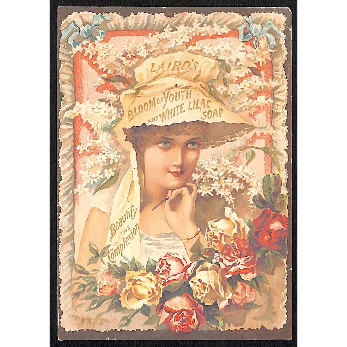 Dr. S. Van Dalsen Paterson, NJ Laird's Soap Victorian Trade Card Girl Flowers