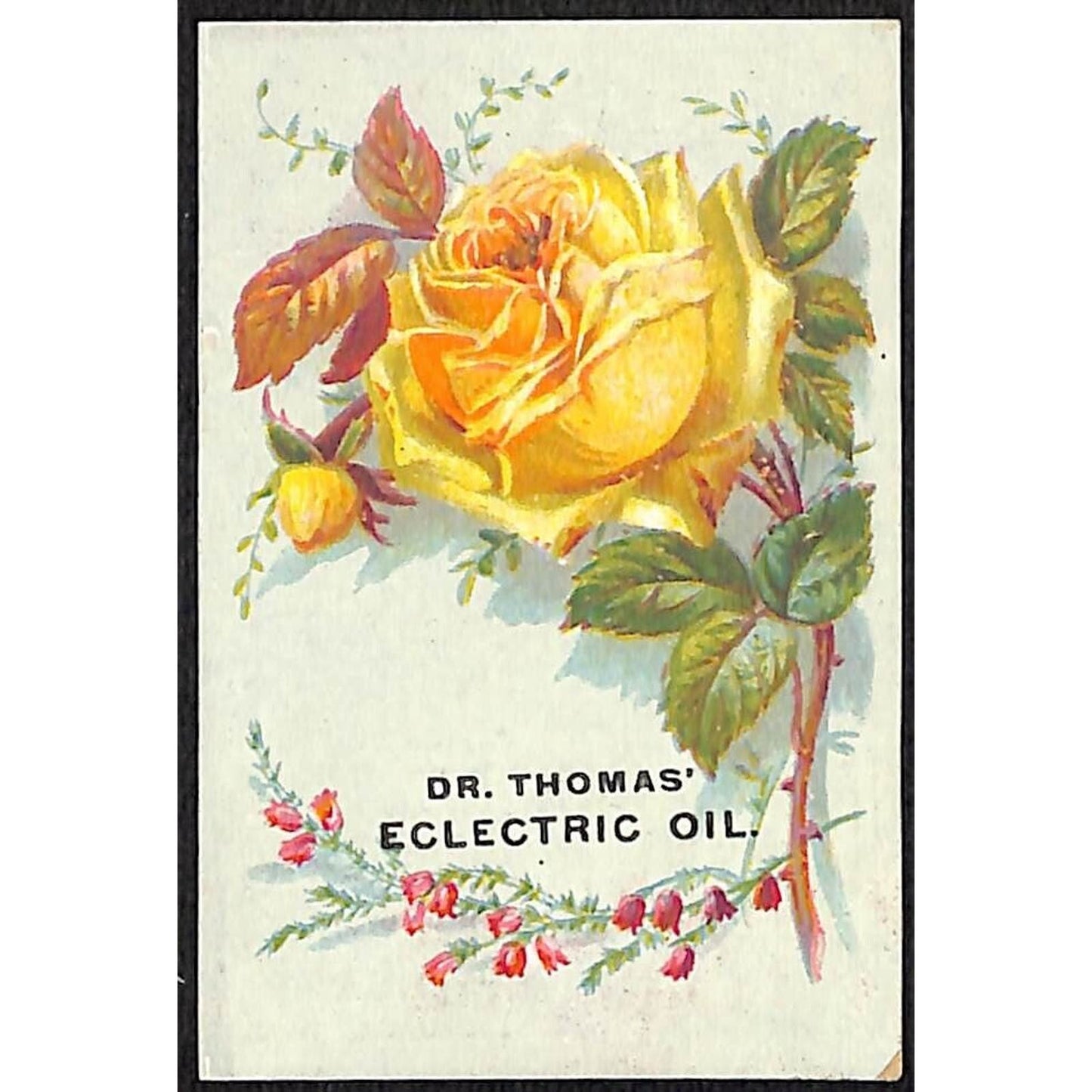 Dr. Thomas' Electric Oil Victorian Trade Card Quack Medicine w/ Ailment List
