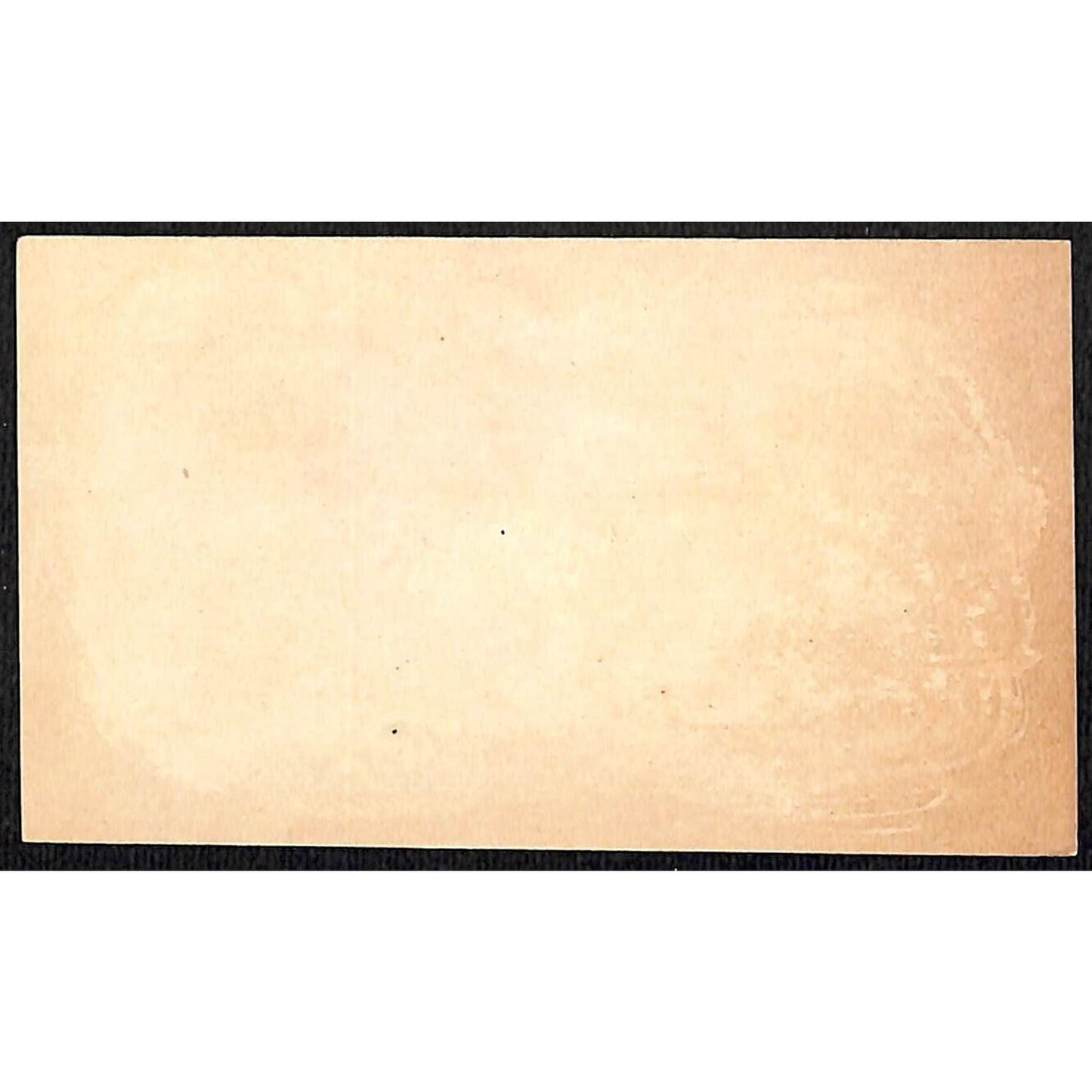 Burlington, VT W.W. Wood (Boots & Shoes) Victorian Trade Card VGC Floral Gilt