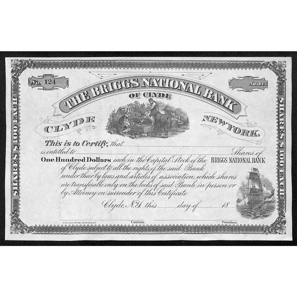 The Briggs National Bank of Clyde NY c1880* Stock Certificate Unissued #124