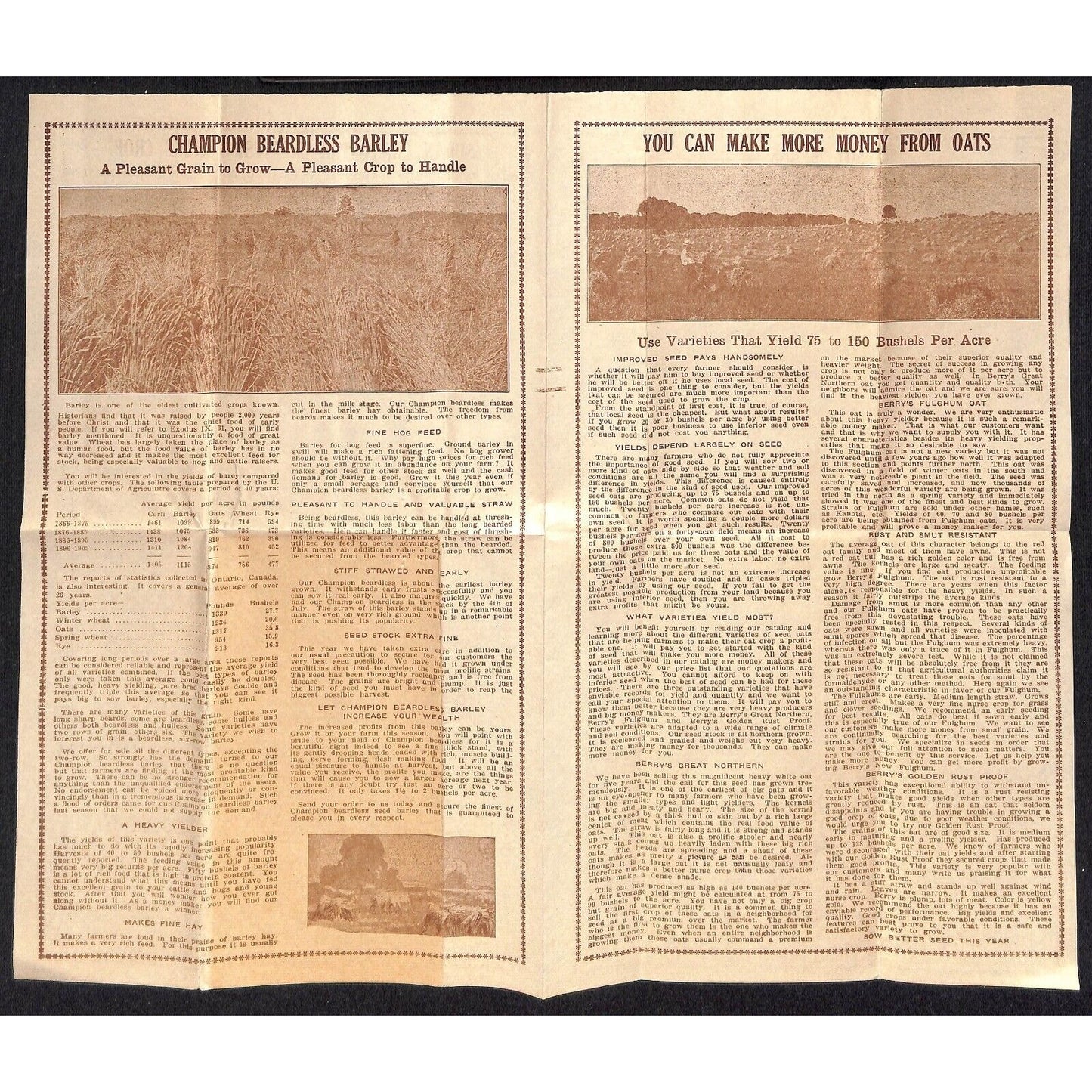 1929 Berry Seed Co. Clarinda, IA Letterheads, Product, Price Sheets & Packets