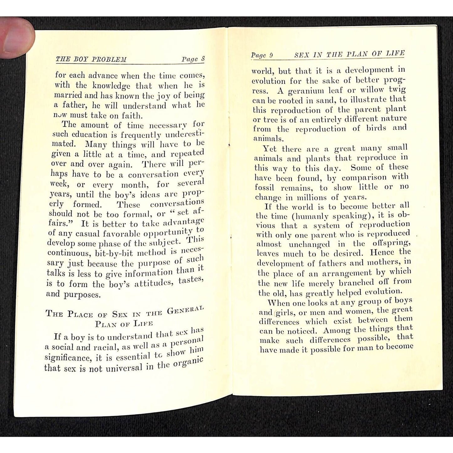"The Boy Problem" 1920 Sex Education Pamphlet for Parents & Teachers 32pp VGC